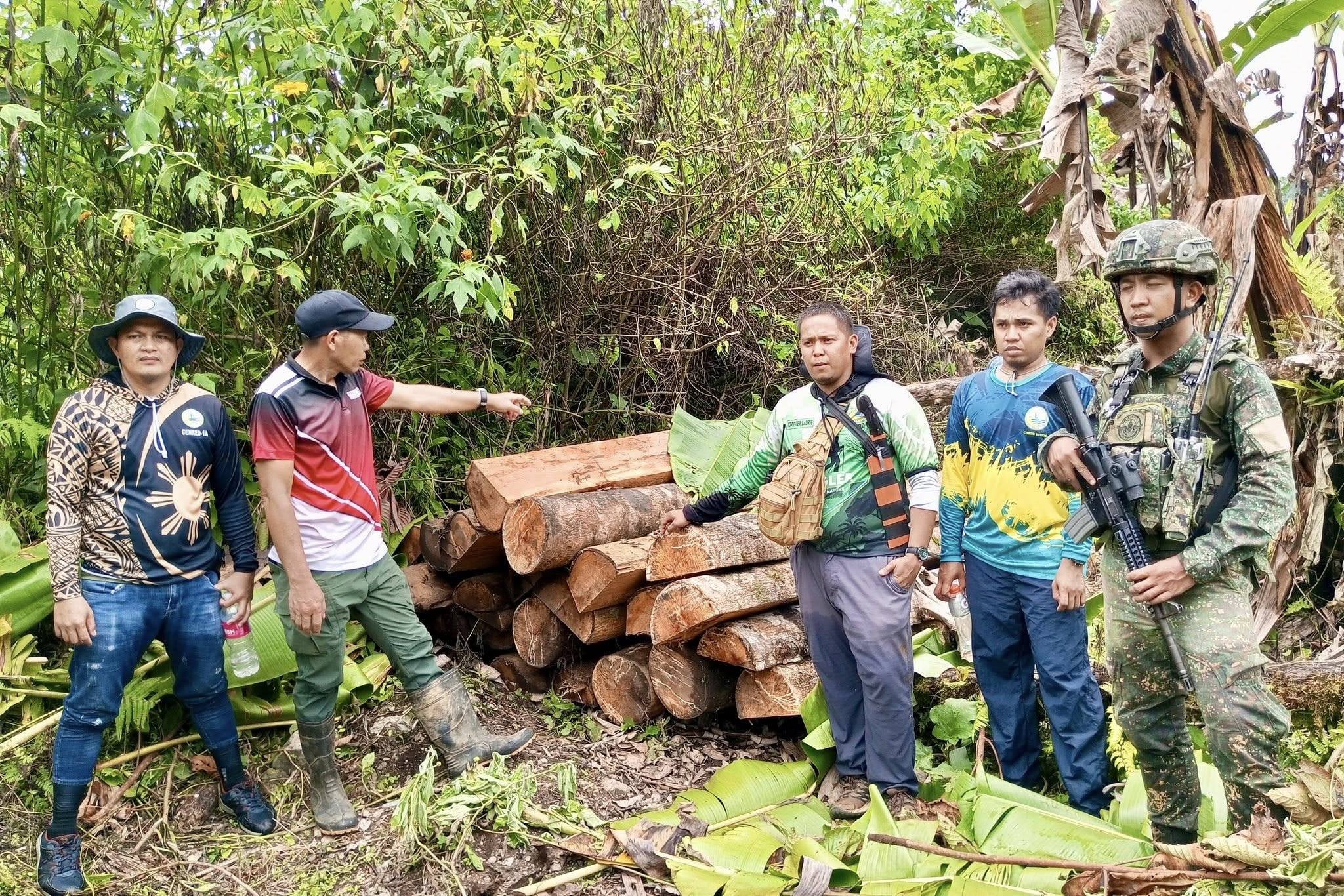 Timbers from Maguindanao del Norte forest seized
